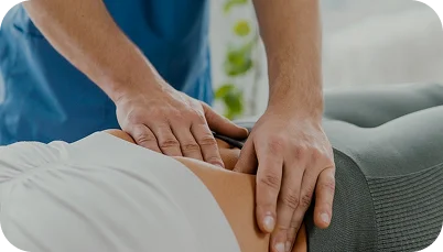 Курс: «Основы мануальной терапии: Анатомия и физиология человека